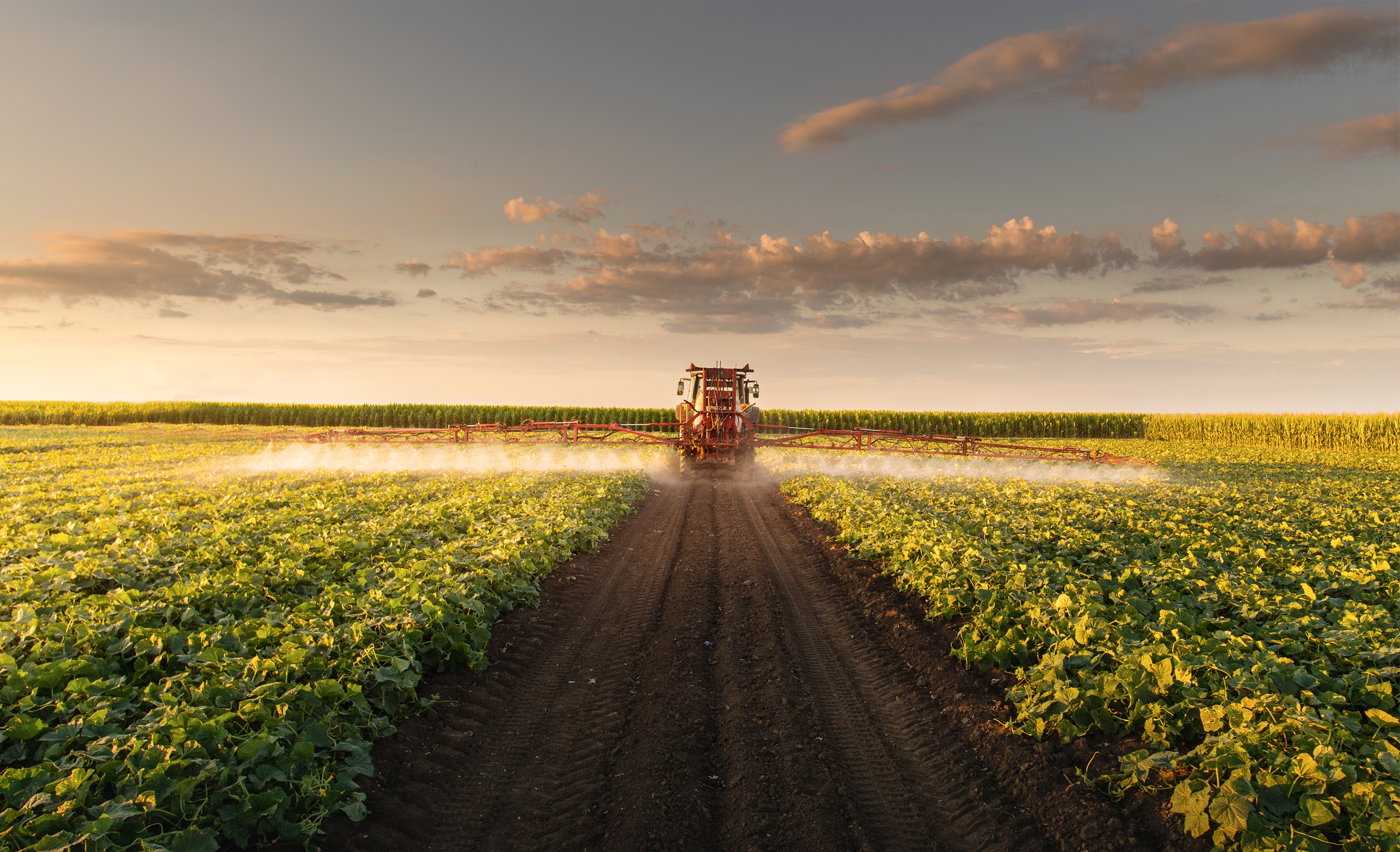 Agriculture